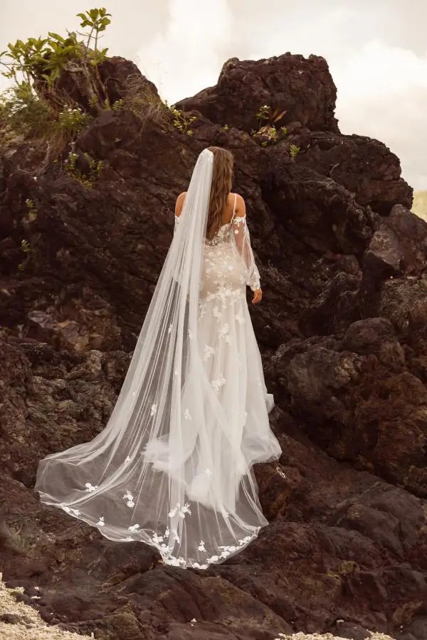 Veil Image