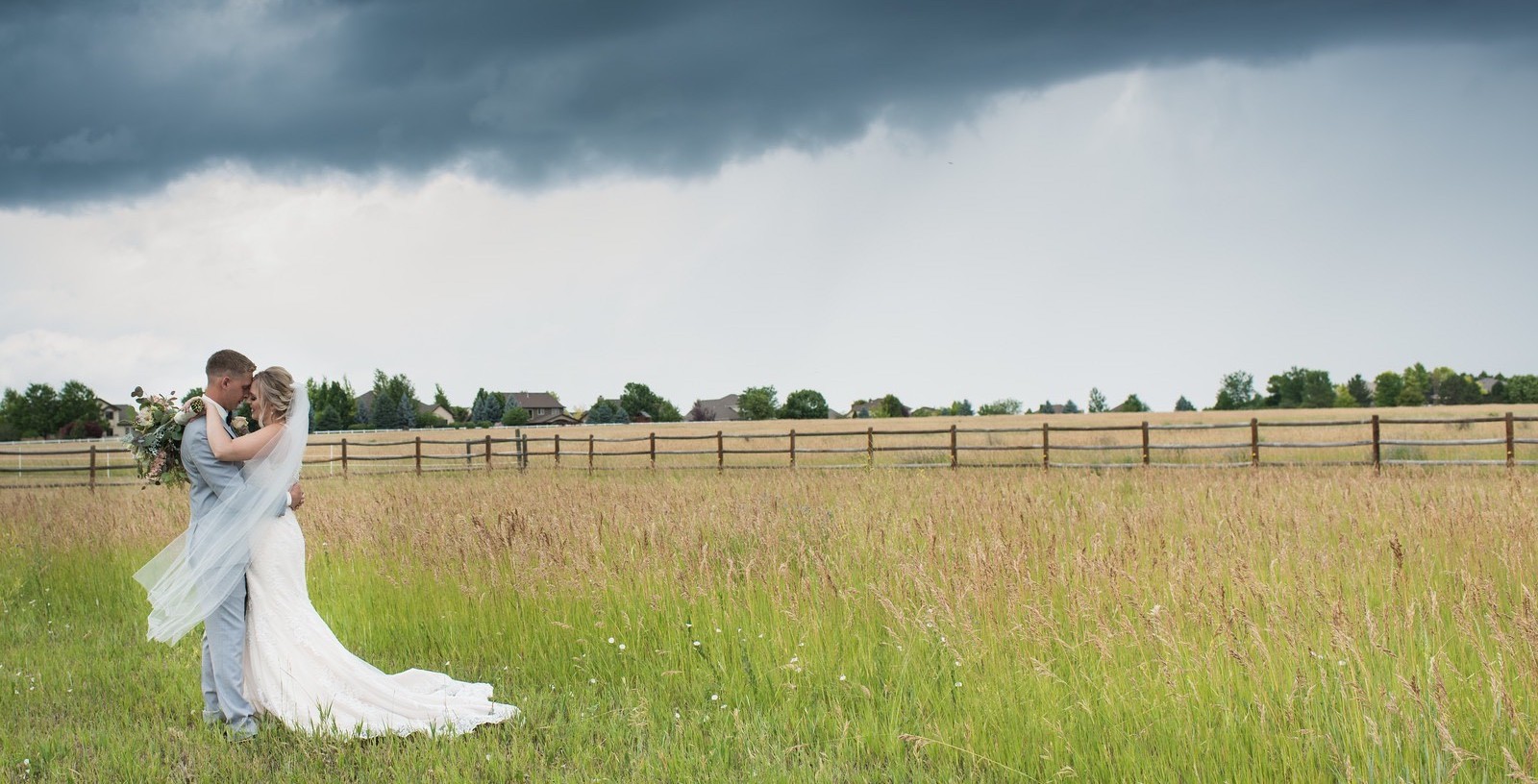 Gallery Header