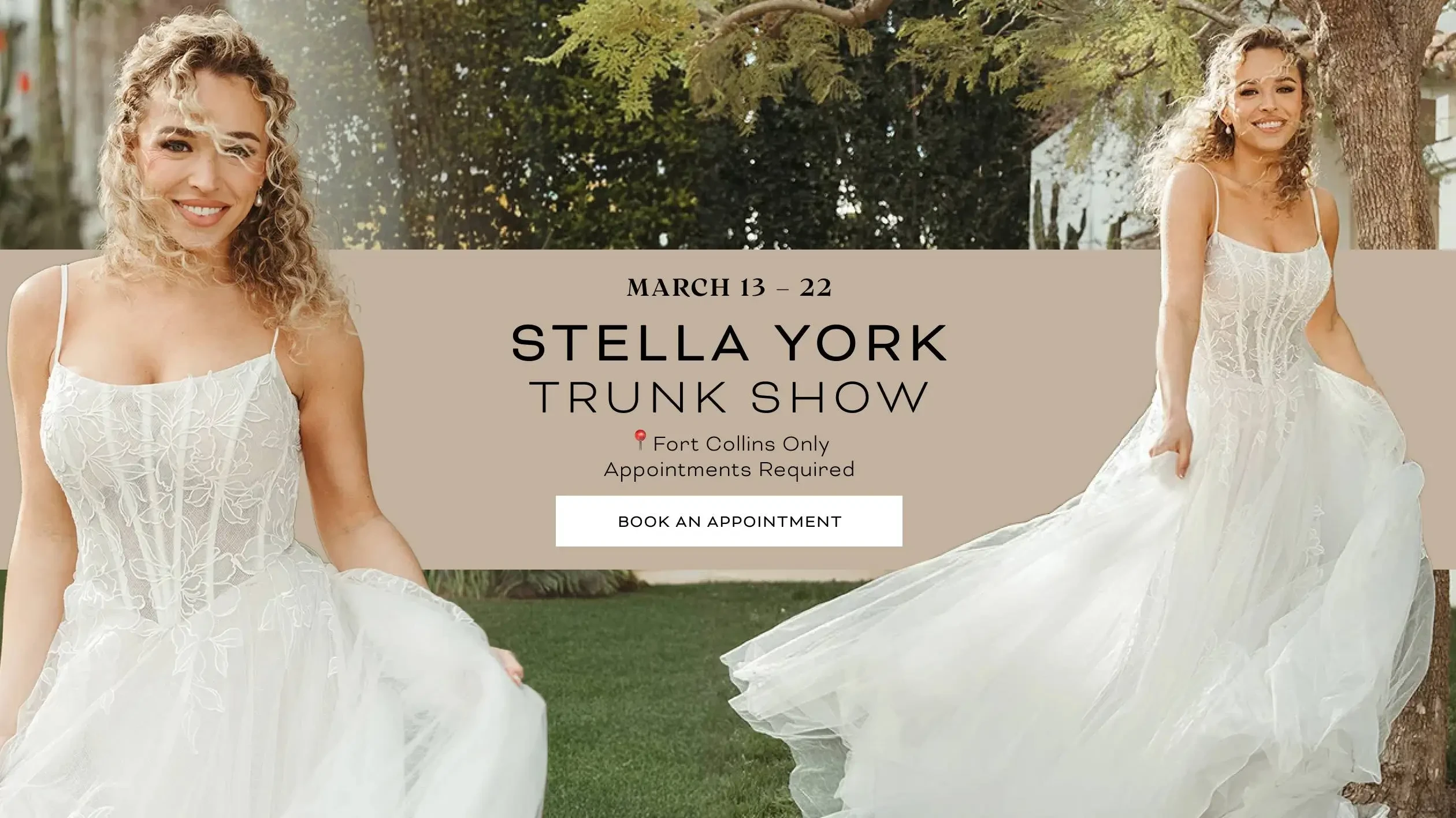Stella York Desktop Banner